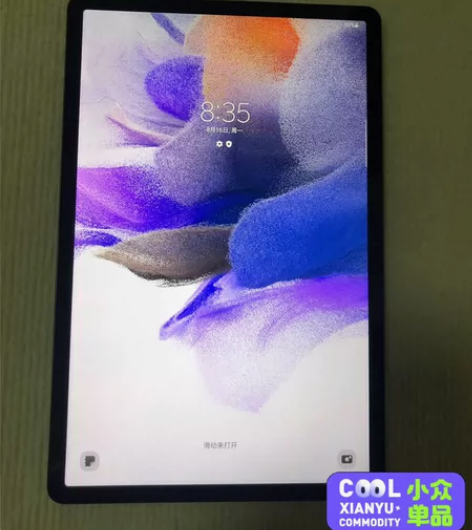 【自用平板】三星平板 S7 FE (T73...