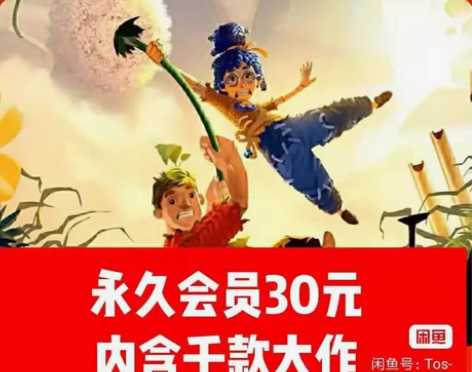 双人成行（正版的Steam游戏）出租永久会...