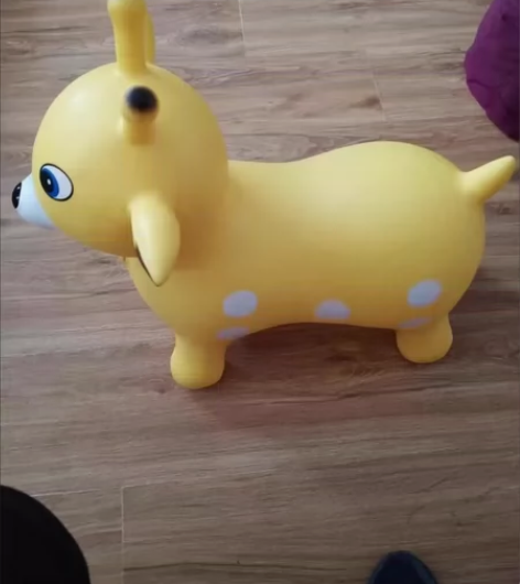 哈哈球跳跳马，买回来没怎么用一直闲置，我儿...