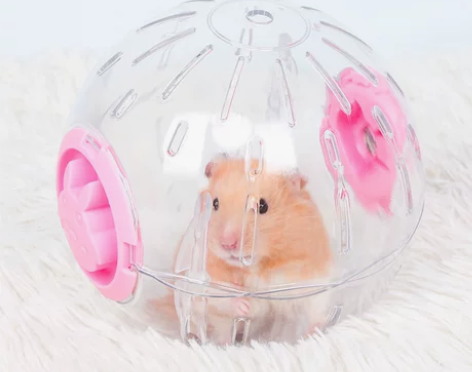 宠尚天仓鼠玩具跑球跑轮滚轮运动球支架金丝熊...