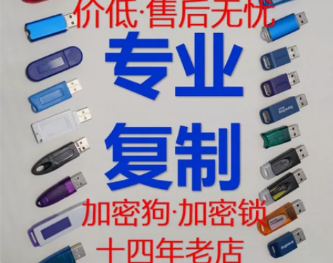 防 加密狗 加密锁 超级狗 软件狗 软件锁...