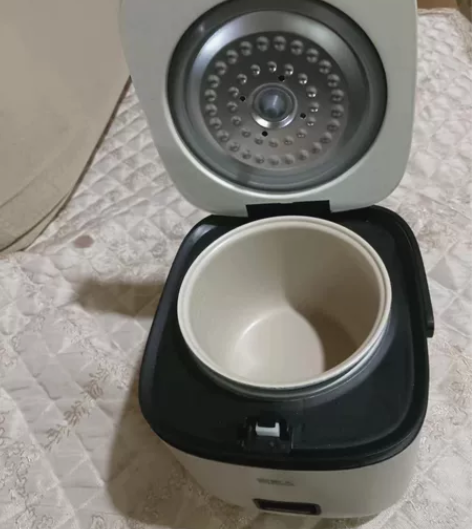 南极人小型电饭煲 个人一手 一个人用2.5...