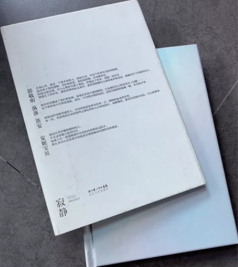 郭敬明 落落 笛安 安妮宝贝 hansey...