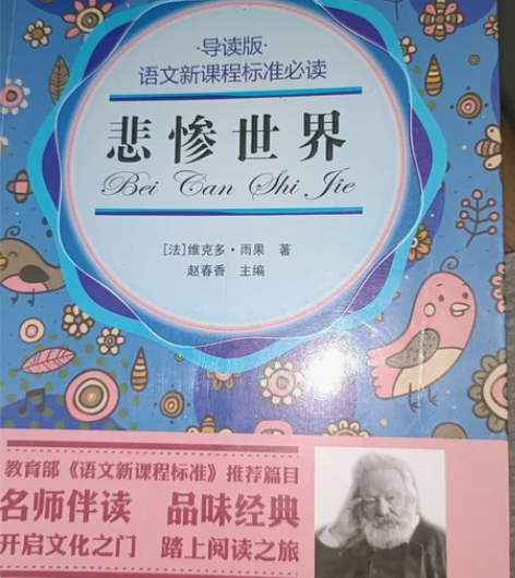 悲惨世界(青少版)/语文新课程标准必读 几...