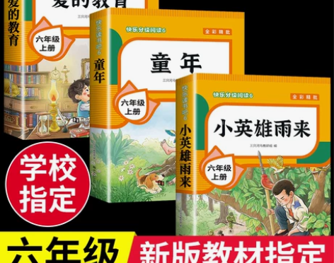 老师推荐小英雄雨来爱的教育童年书六年级上册...