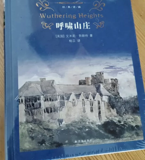 呼啸山庄(精)/经典译林，绝对全新，连包装...