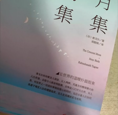 新月集飞鸟集和海子的诗新买的书没怎么看过？...