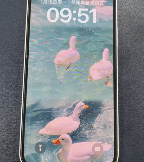 （个人直出，女生自用） iPhone12白...