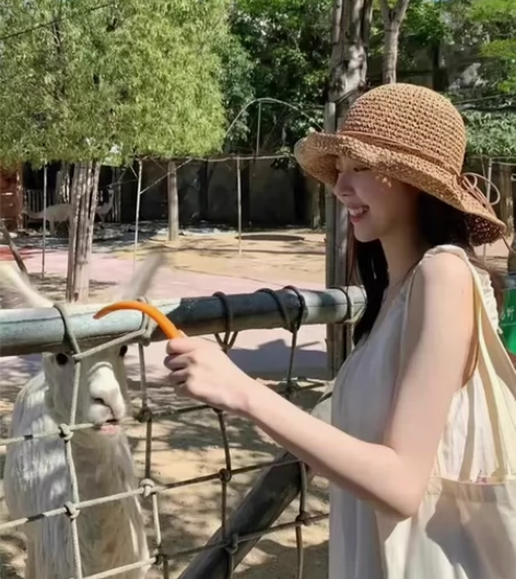 可折叠草编织田园风大檐草帽女夏海边沙滩度假...