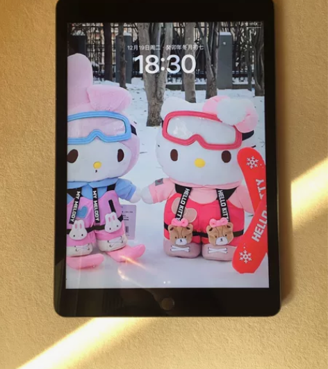 出一手自用iPad2019第7代平板 颜色...