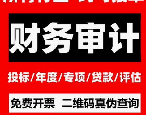 公司投标审计咨询年度专项离任资产评估清算报告