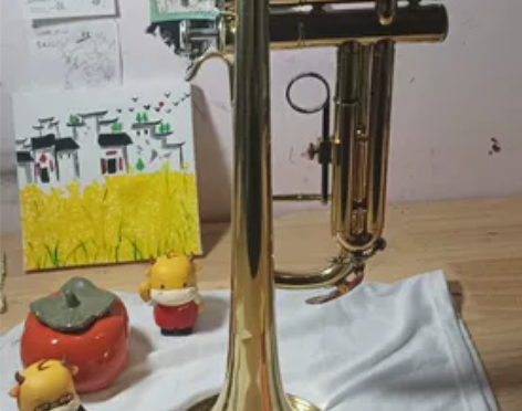 铜管乐器小号。会给黑色的号箱，白色手套以及...