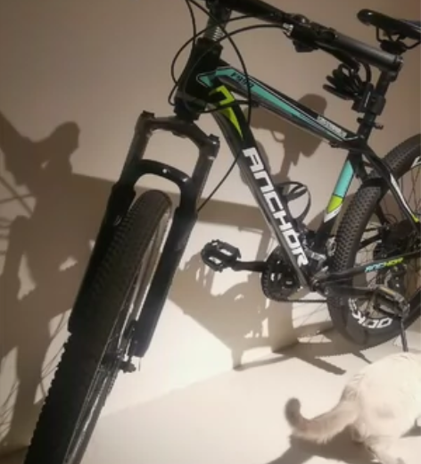 注意！飞鸽山地车一台  用完都停在车库（锻...