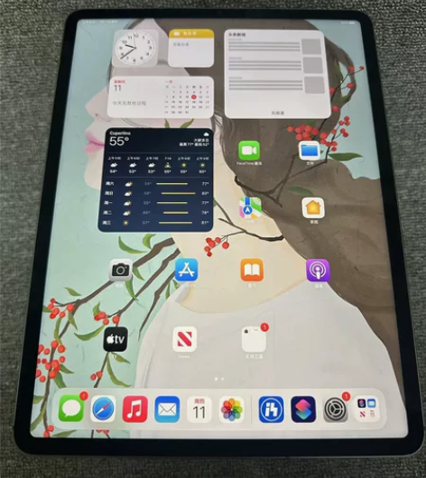 2021款iPadpro 12.9寸 插卡...