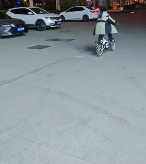 凤凰牌折叠自行车，买的时候快三百了，孩子骑...