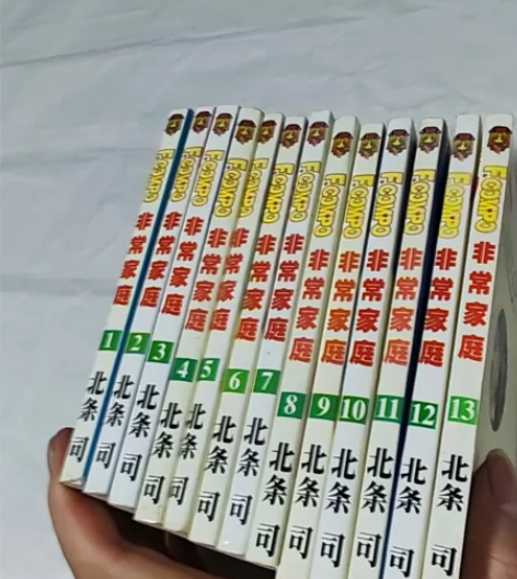 非常家庭全15册(1-13册合售)北条司2...