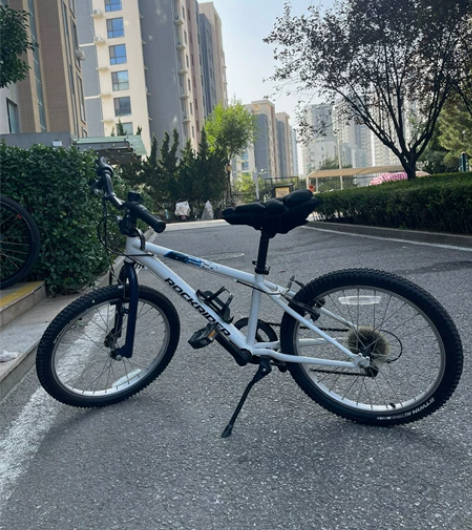 迪卡侬买的 20寸 没坏没毛病只是孩子骑着...