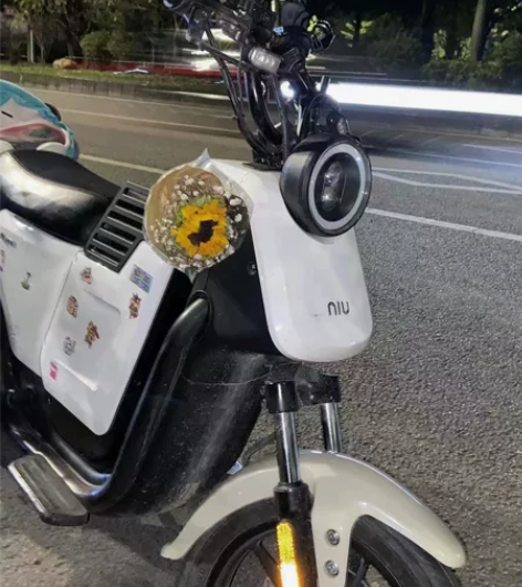 小牛u1动力版，运费自出，可自提，有app...