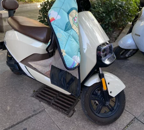 小牛电动车 G400 6 个电瓶，电池是加...