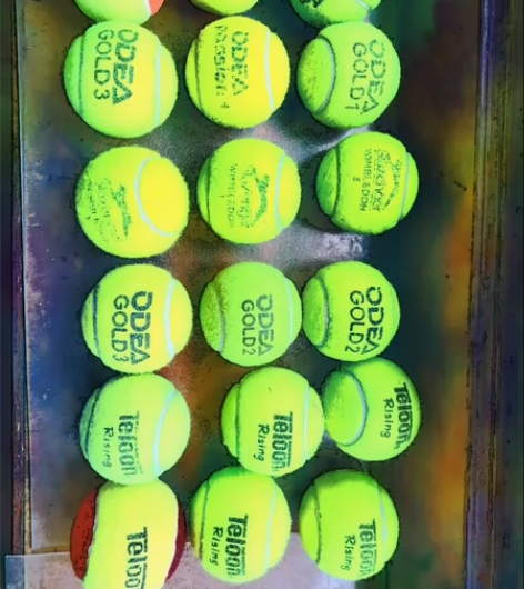 处理各种成色品牌的网球30个。自提优惠。 ...