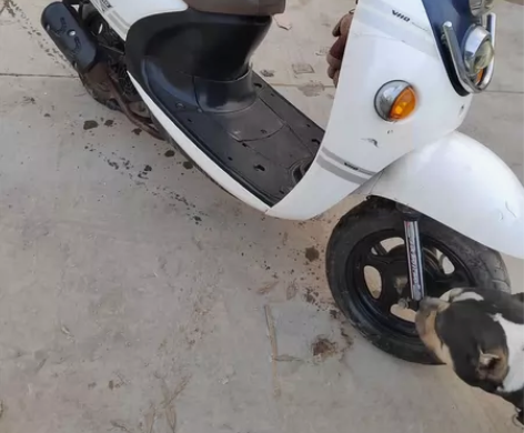 铃木踏板摩托车  小踏板 小摩托车 望江铃...