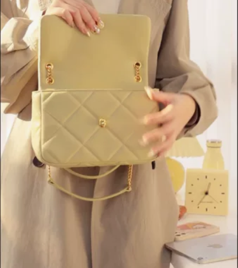 全新未拆封纽芝兰新款小香风女包，单肩斜挎腋...