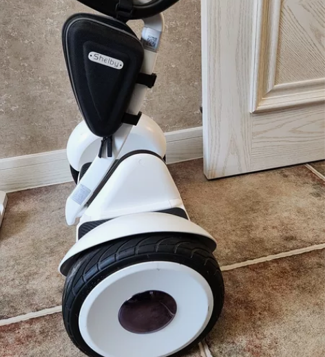 小米九号平衡车，朋友送的孩子不爱玩。刚来的...