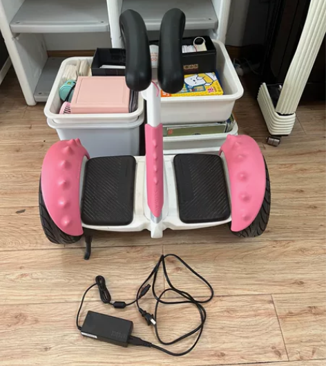 迷你九号平衡车，八成新，车和充电器都在，孩...