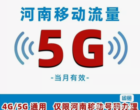 河南移动通用流量5G，有效期2个自然月 感...
