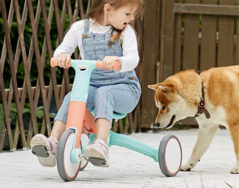 【狂暑价】Hape二合一儿童平衡车 踏行车...