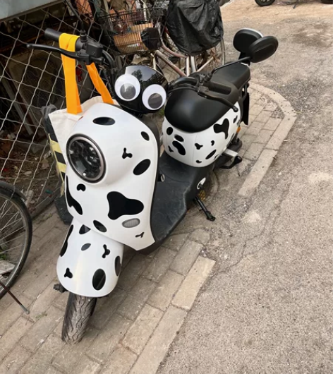 台铃萌苏2023版65公里可拆卸锂电池 自...