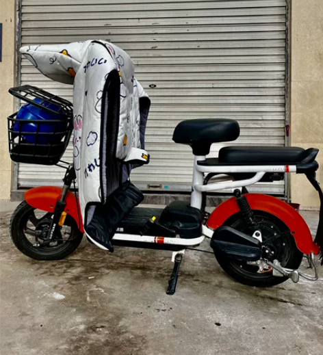 毕业季要回家，女生自用绿源电车，平时很少骑...