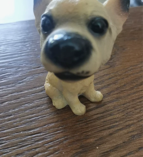 摇头狗 感兴趣的话点“我想要”和我私聊吧～...