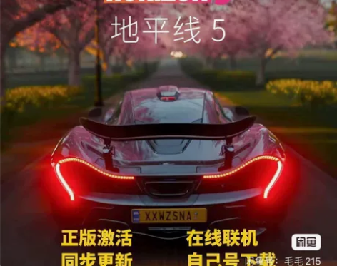 极限竞速地平线5 steam正版激活入库 ...