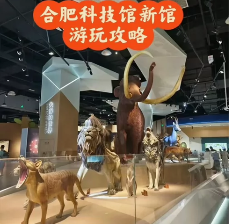 合肥新馆(蜀西湖区)科技馆周边游玩 感兴趣...