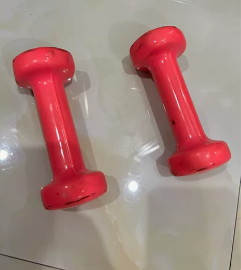 朗威哑铃女士健身家用器材儿童男士纯铁套装组...