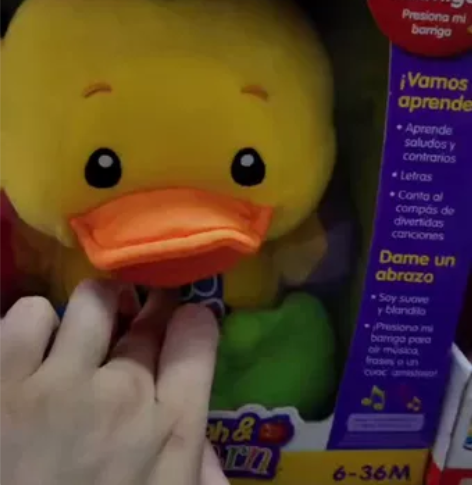 全新费雪笑声娃娃/音乐玩偶鸭/可水洗涂鸦熊...