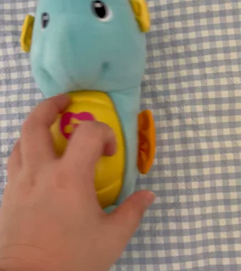 费雪小海马 视频和照片都是苹果原相机实拍，...