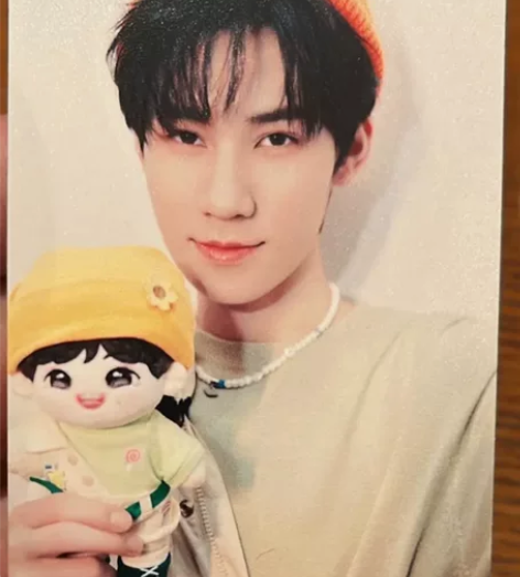 出张真源棉花娃娃卡，无暇未绑可直拍，送一张...