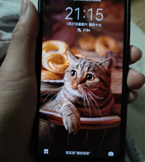 华为畅享9，可以当备用手机，用起来没啥毛病...