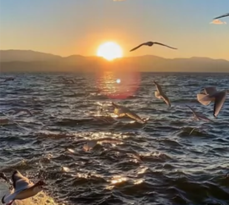 备用勿拍 感兴趣的话点“我想要”和我私聊吧～