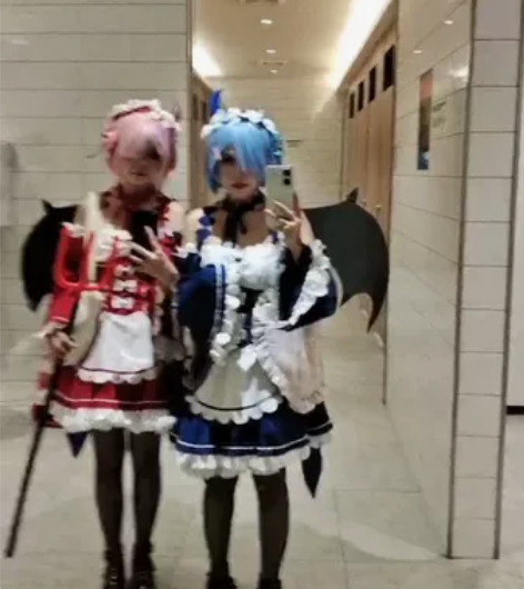 绝色漫家蕾姆拉姆小恶魔 状态很好 如图  ...