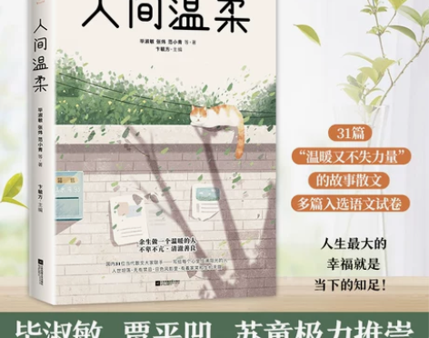 人间温柔 毕淑敏 等 正版书籍小说畅销书 ...