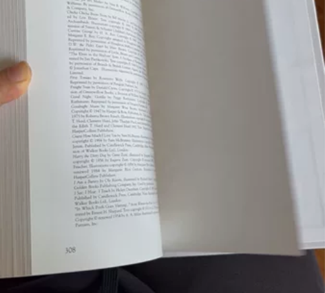 英文原版 the 20th century...