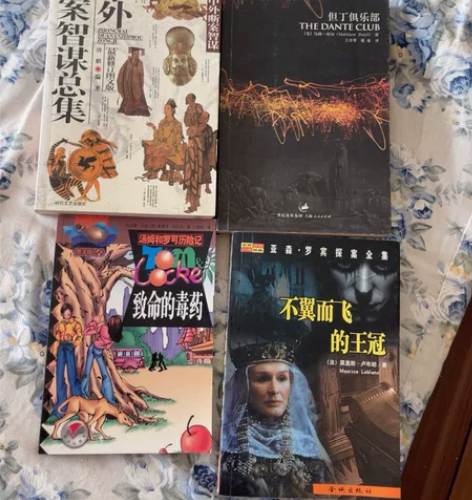 侦探、推理、罪案、恐怖类小说。5-20元一...