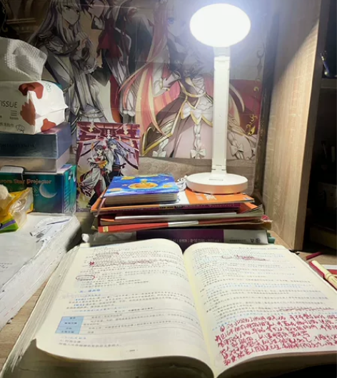 考研会上岸的，即将搬家，出个全新的学习台灯...