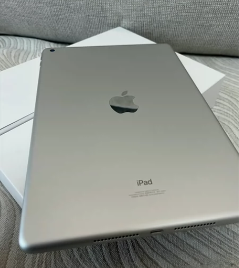 捡漏iPad2021款第9代256G内存苹...