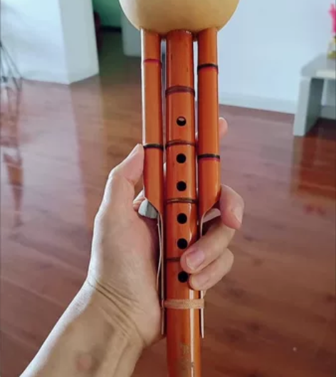 琴行超低价处理全新云南葫芦丝乐器天然凤尾竹...