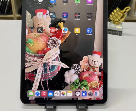 自用出送笔和键盘 iPad2021款256...