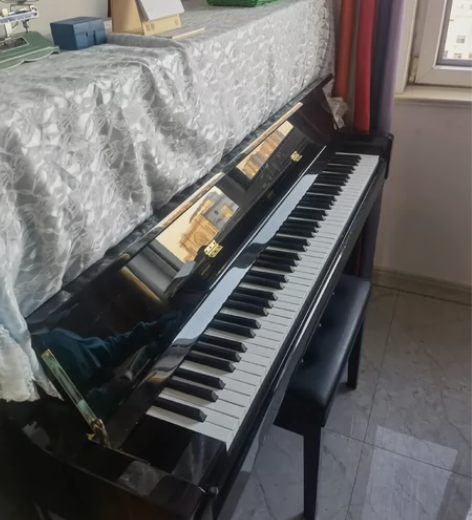海伦钢琴HL123A，提供节拍器 购于20...